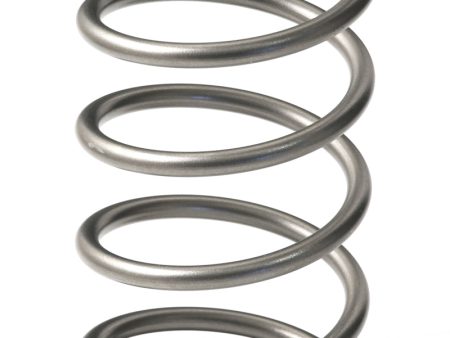 GFB EX50 13psi Wastegate Spring (Outer) Online Sale